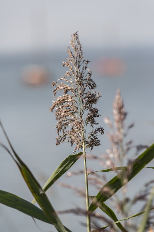 Profilbild von Andr&eacute; B&uuml;nder